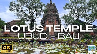 Rain at Lotus Temple Ubud, Bali – Saraswati temple rainfall for deep sleep, destress & meditation