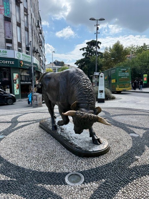 Bull 1-Day in Kadıköy; Enjoy Istanbul’s Asian Side