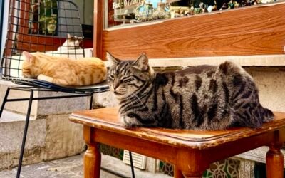 1-Day in Kadiköy; Taste, Shop, Walk and Enjoy Istanbul’s Asian Side