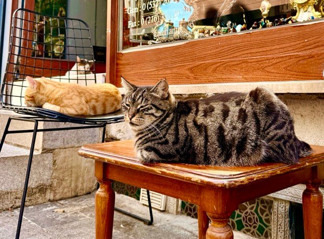 1-Day in Kadiköy; Taste, Shop, Walk and Enjoy Istanbul’s Asian Side