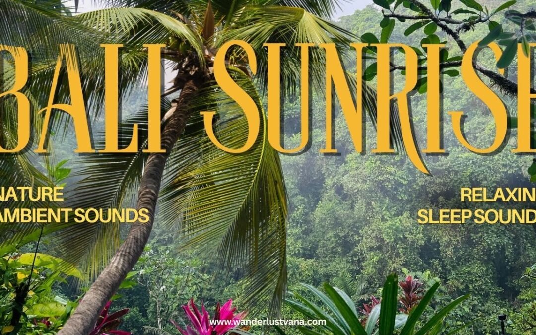 Wake Up in Paradise: Bali Jungle Sounds at Sunrise